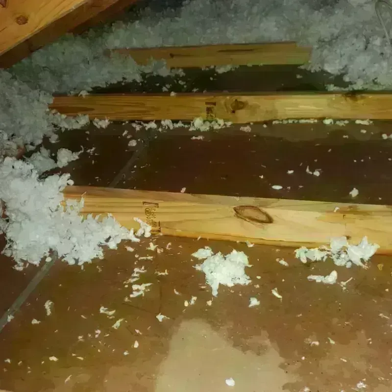 Attic Water Damage in Ackerman, MS