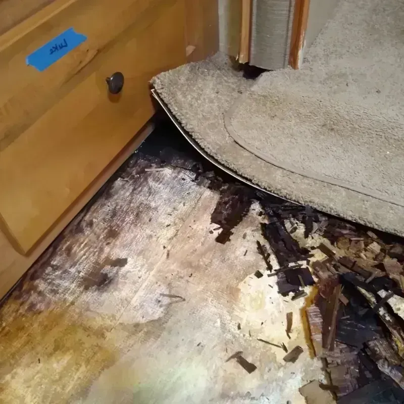 Wood Floor Water Damage in Ackerman, MS